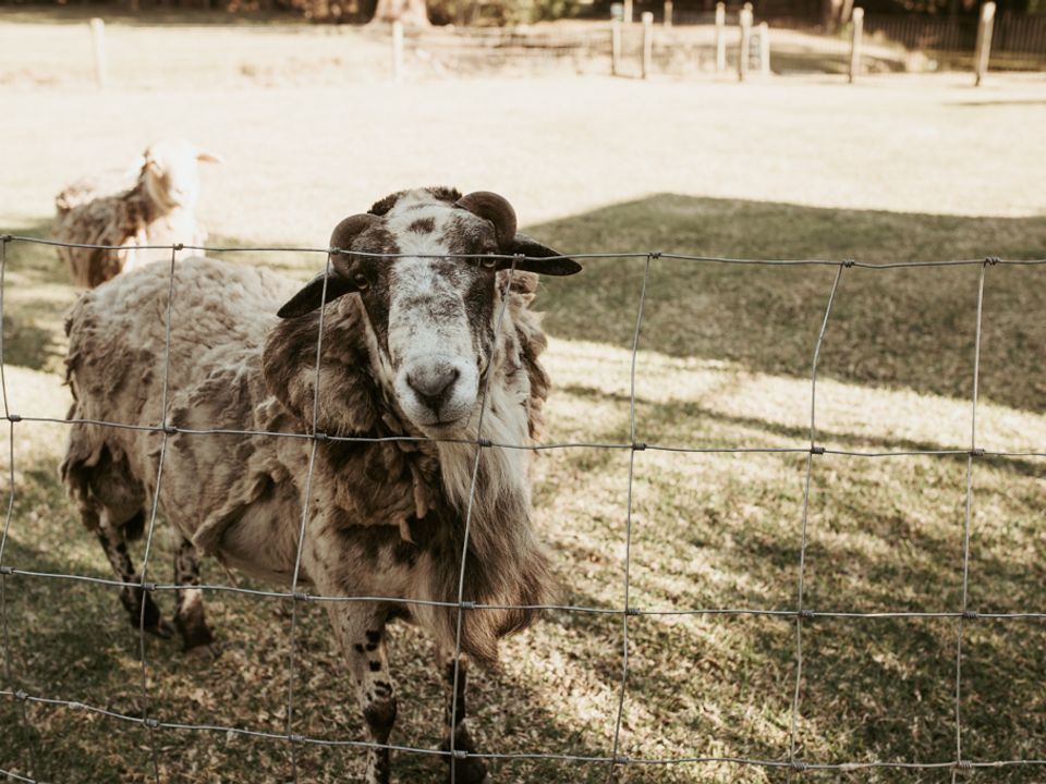 Story image 11